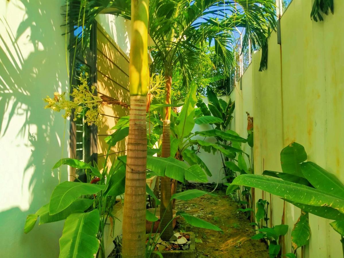 Almond Villa Hoi An Eksteriør bilde